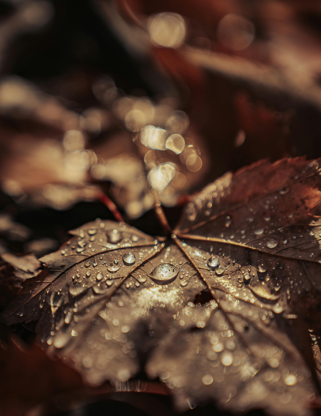  GRND CODE | Handseife 