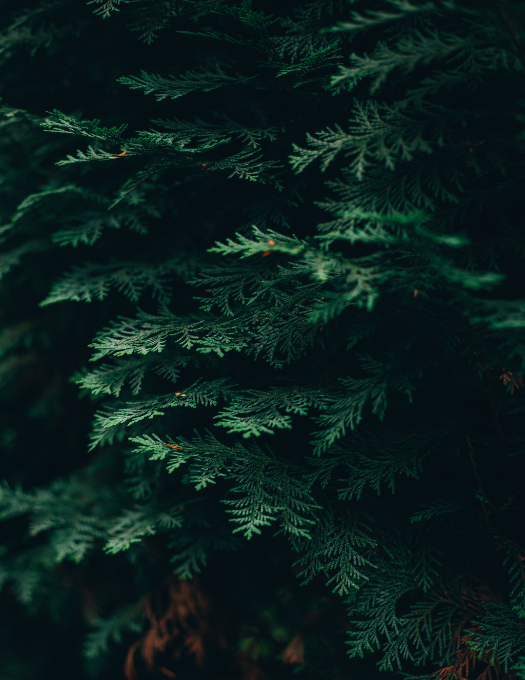 GRND FUEL | 2-in-1 Hair and Body Wash