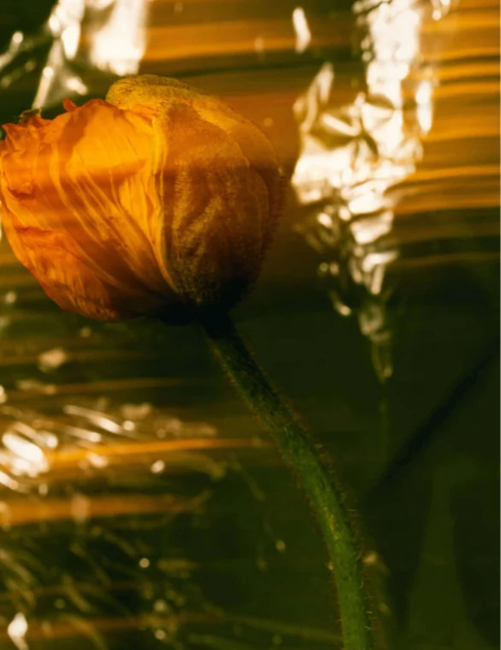 GRND COVER | Sun Protection SPF50 Stick