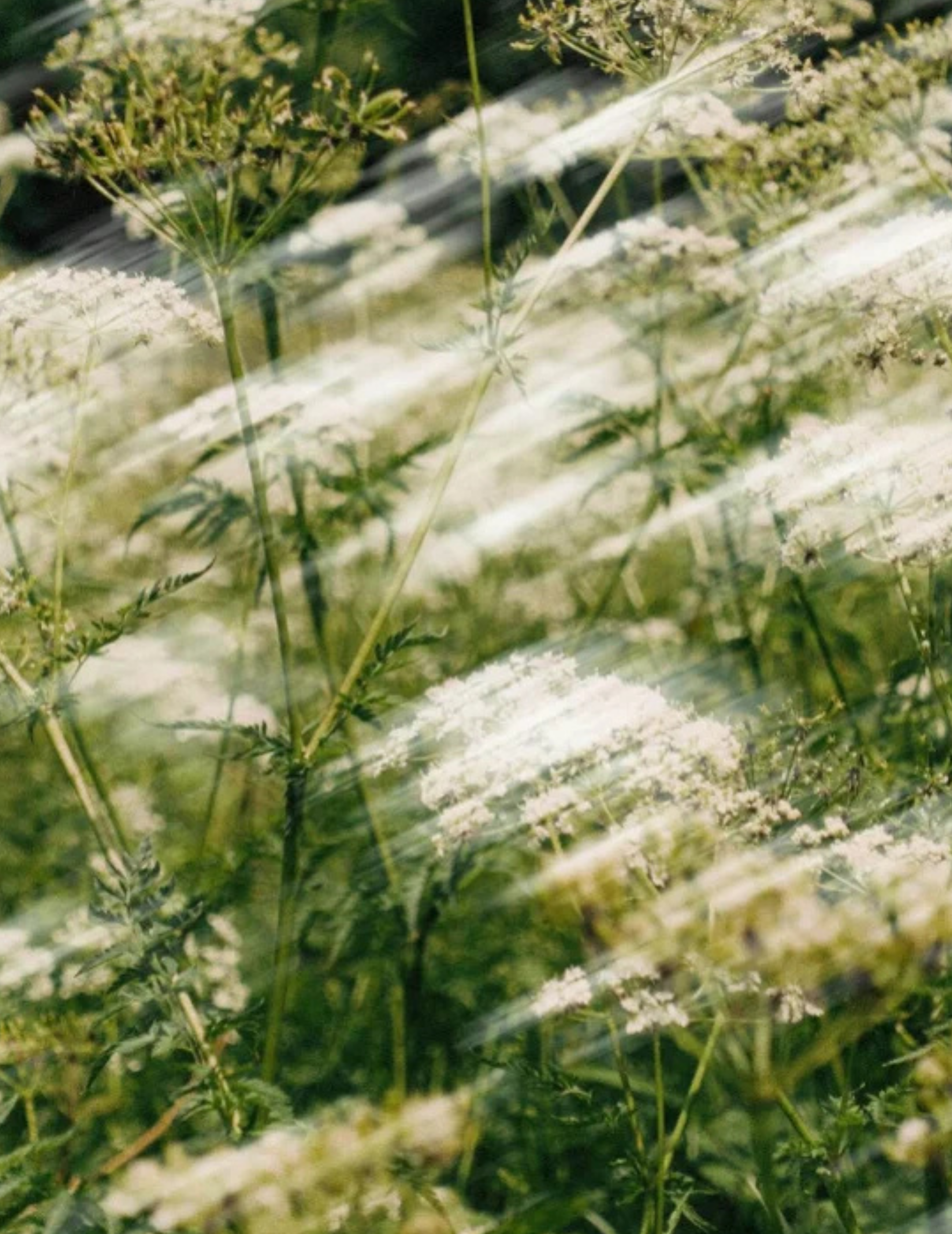 GRND BASE MATTE | Light Moisturising Day Cream